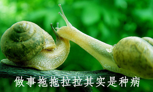 拒絕拖延從今天開(kāi)始,明天會(huì)更好(圖4) 拒絕拖延從今天開(kāi)始,明天會(huì)更好(圖4)